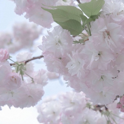 兽设创意设计灵感兽圈社群